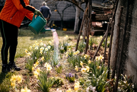 6 Plumbing Tips for the Spring
