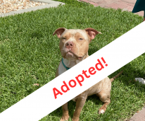 Your paragraph text (3) (1)